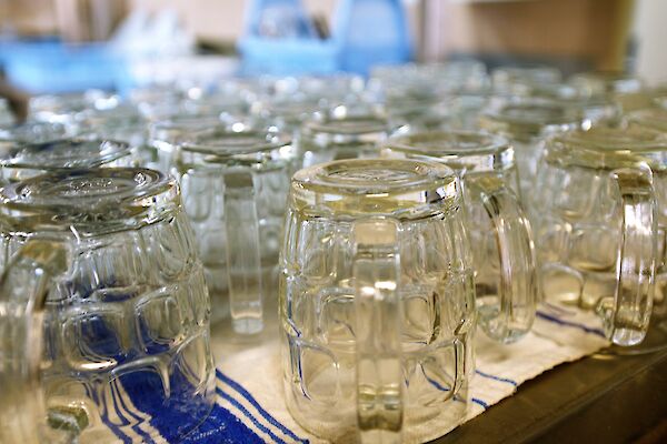 Beer glasses