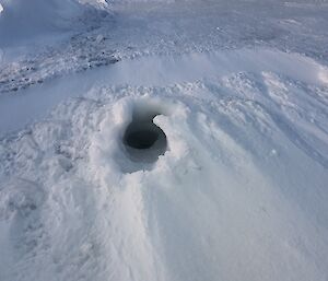 An open seal hole in sea ice