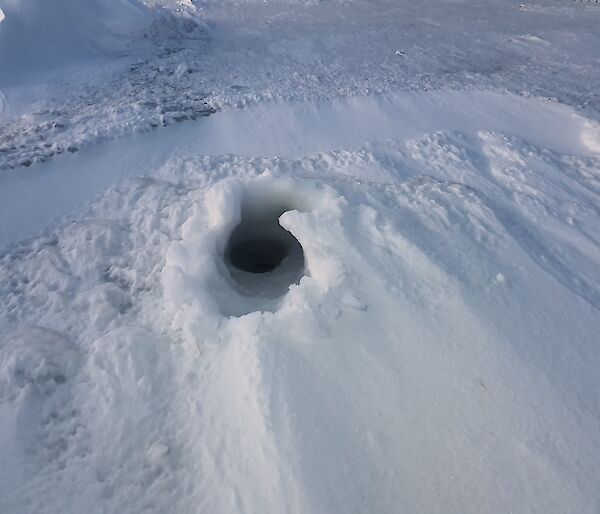 An open seal hole in sea ice