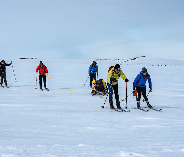5 people on skis on a flat snowy landscape. Two are attached by rope to a sled.