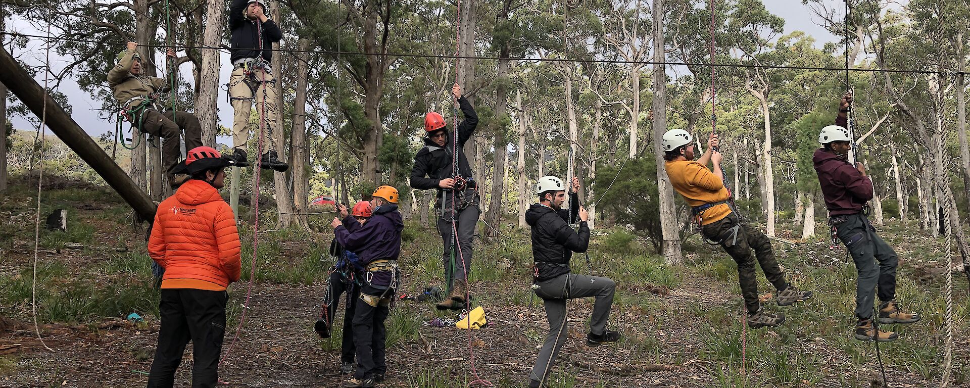 Six people embarking on a ropes course wearing hardhats.