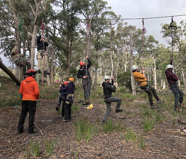 Six people embarking on a ropes course wearing hardhats.