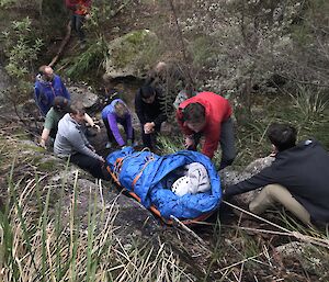 A group of doctors carry a mock patient uphill on a stretcher.