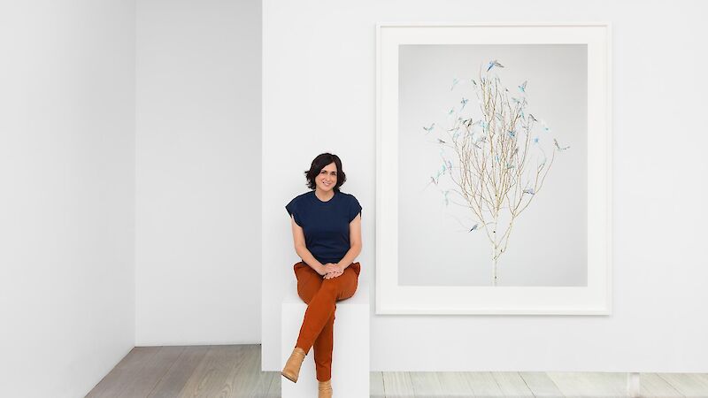 A lady sits on a white podium in an art gallery in front of a print of a tree filled with blue budgerigars