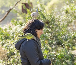 A woman stands amonst some trees. A blue crested bird balances on her head.