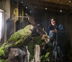 A lady in a shed stands smiling with a camera.  A green plummed bird sits on a tree stump in the foreground