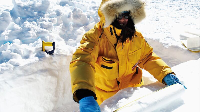 A man in cold weather gear standing in a snow trench measuring an ice core