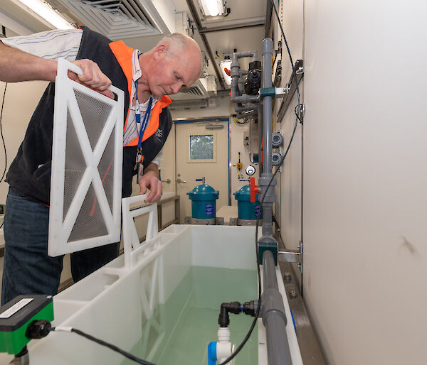 Scientist leaning over a tank of water.