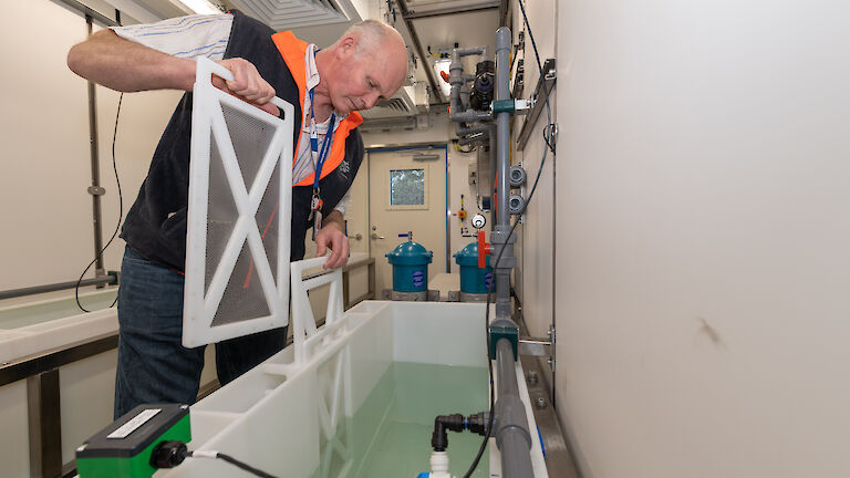 Scientist leaning over a tank of water.