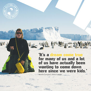 Station Leader Narelle Campbell kneeling with penguins and ice cliffs in the background. Quote: 'It’s a dream come true for many of us and a lot of us have actually been wanting to come down here since we were kids.'