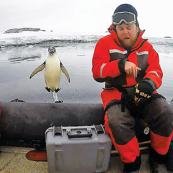 Expeditioner in boat surprised by penguin jumping into air and preparing to land in boat.