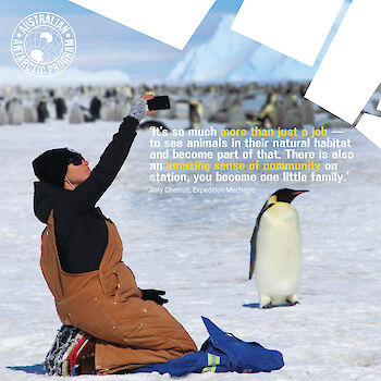 Expedition mechanic Amy Chetcuti kneeling while taking a selfie with emperor penguins. Quote: 'It’s so much more than just a job — to see animals in their natural habitat and become part of that. There is also an amazing sense of community on station, you become one little family.'