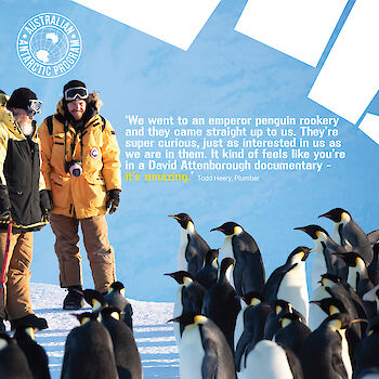 Plumber Todd Heery standing with another expeditioner looking at emperor penguins. Quote: 'We went to an emperor penguin rookery and they came straight up to us. They’re super curious, just as interested in us as we are in them, so it kind of feels like you’re in a David Attenborough documentary - it’s amazing.'