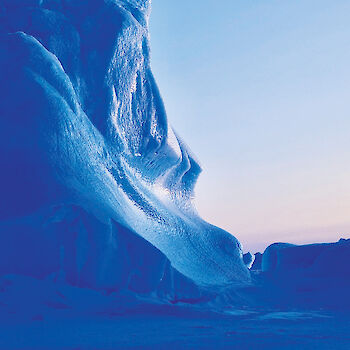 A close up image of a large blue iceberg with wind sculpted detail against a soft pink and blue sky.