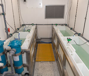 Narrow tanks filled with water inside a shipping container turned into an aquarium.