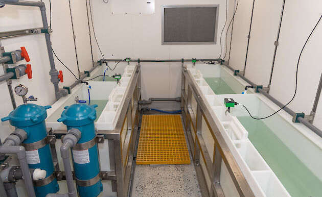 Narrow tanks filled with water inside a shipping container turned into an aquarium.