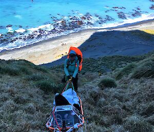 Using ropes to lower a stretcher down the side of a hill