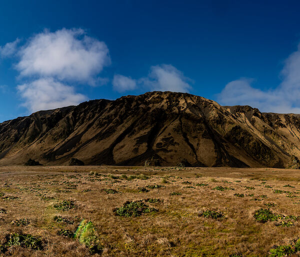 Panoramic shot of a mountain taken from across the plains