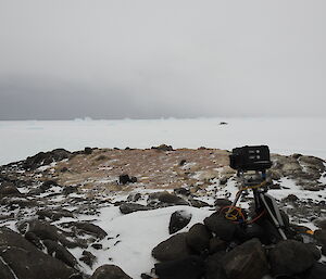 A camera sits on the shore with a view of icebergs.