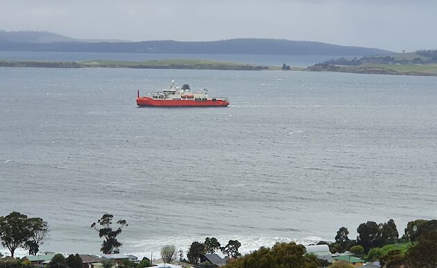 RSV Nuyina in the Derwent near Hobart