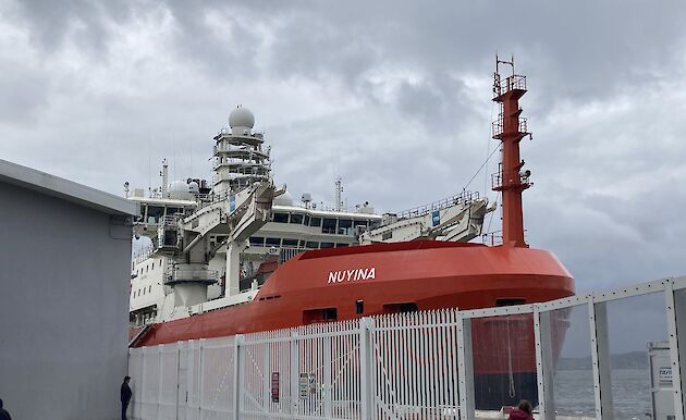 RSV Nuyina at the wharf with people looking through fence