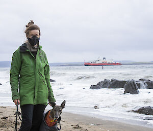 Woman with a dog on the beach; the RSV Nuyina is in the background