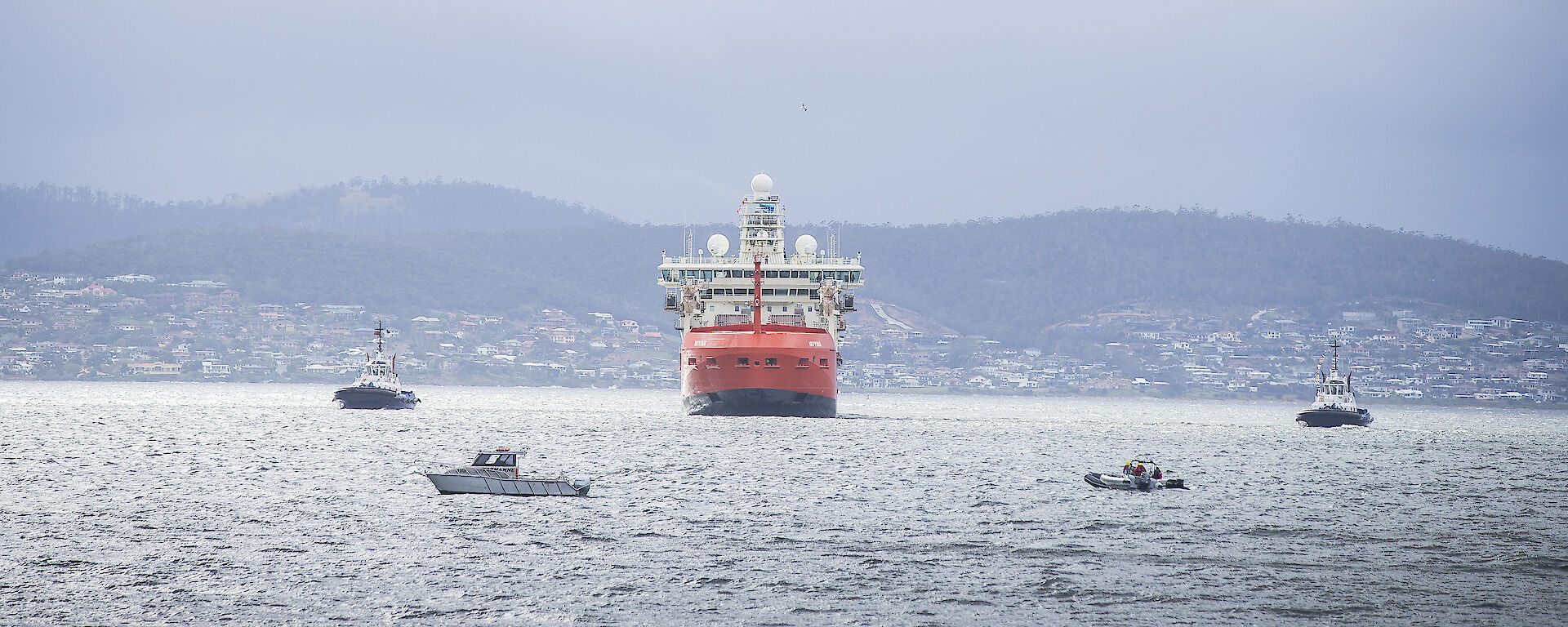 RSV Nuyina near Hobart with tugs and small craft in the foreground