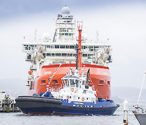 RSV Nuyina with a tug in front, near the wharf