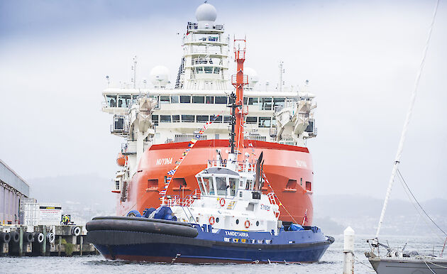 RSV Nuyina with a tug in front, near the wharf