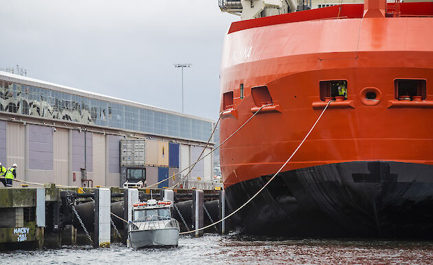 RSV Nuyina being tied up at the wharf