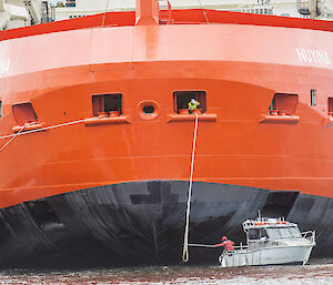 RSV Nuyina at the wharf, with small boat in front