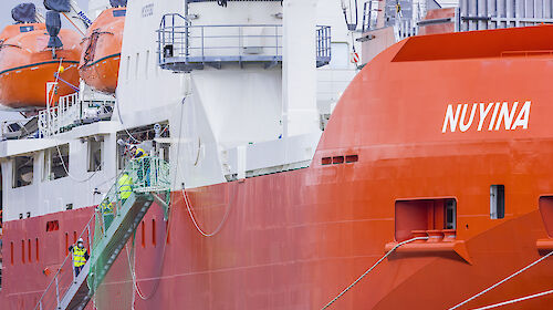 Crew getting off the RSV Nuyina in port