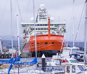 RSV Nuyina at the wharf, seen behind the yachts