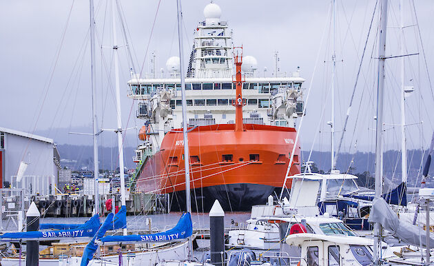 RSV Nuyina at the wharf, seen behind the yachts