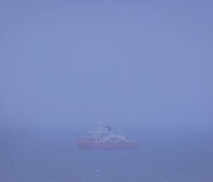 RSV Nuyina in the fog
