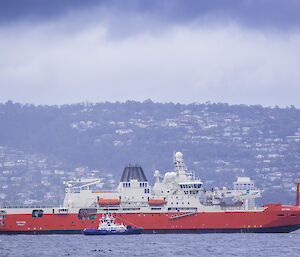 RSV Nuyina with tug