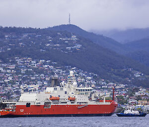 RSV Nuyina with tug