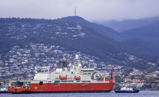 RSV Nuyina with tug