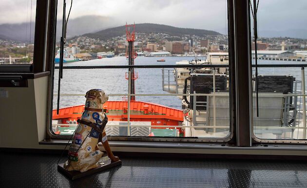 Plastic guide dog on the bridge of the Nuyina looking at Hobart