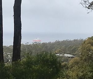 Distant view of the Nuyina in the Derwent with trees and bushes in the foreground