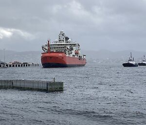 RSV Nuyina approaching