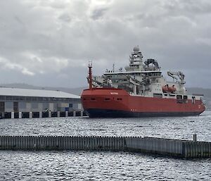 RSV Nuyina docked