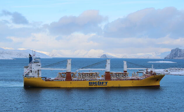 Large yellow and white cargo ship in a bay with snow capped mountains behind