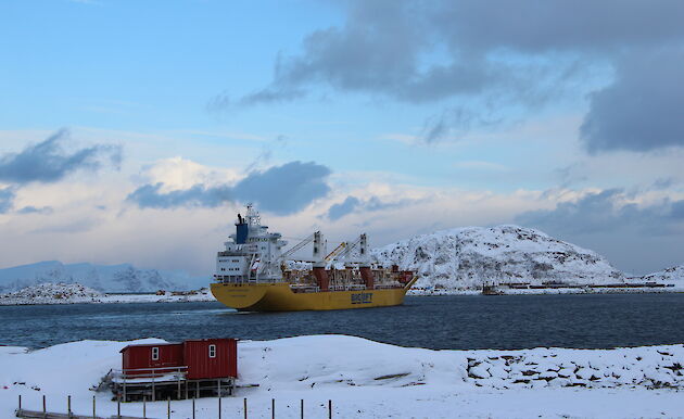 Large yellow and white cargo ship in a bay with snow capped mountains behind in front