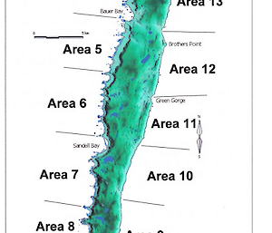 Map of Macquarie Island showing the numbered areas for the census