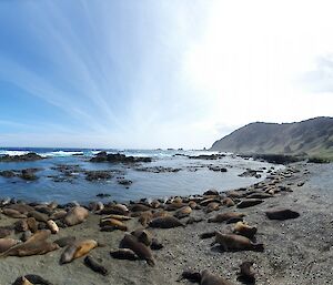 Panoramic shot showing an expeditioner sitting by the bay with blue sky and sunshine lighting the background