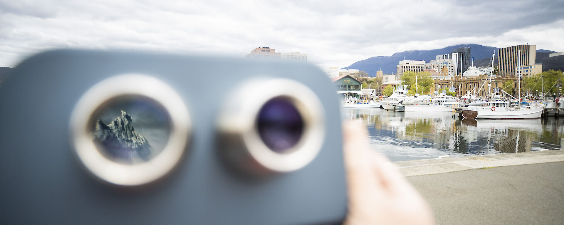 Icebergs seen through the lenses of binoculars