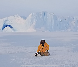 An expeditioner kneeling on the sea ice patting the toy Border Collie dog next to him.