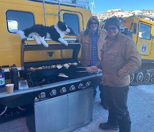 The toy Border Collie dog on top of the BBQ with two men smiling to camera whilst doing the cooking.