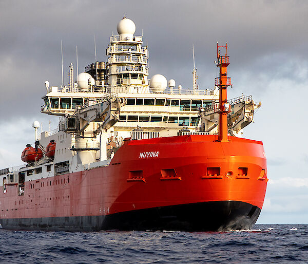 Starboard view of Nuyina in the ocean.